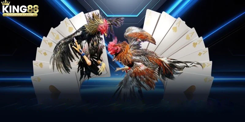 loi-ich-khi-tham-gia-da-ga-king88 Lợi ích khi tham gia đá gà King88